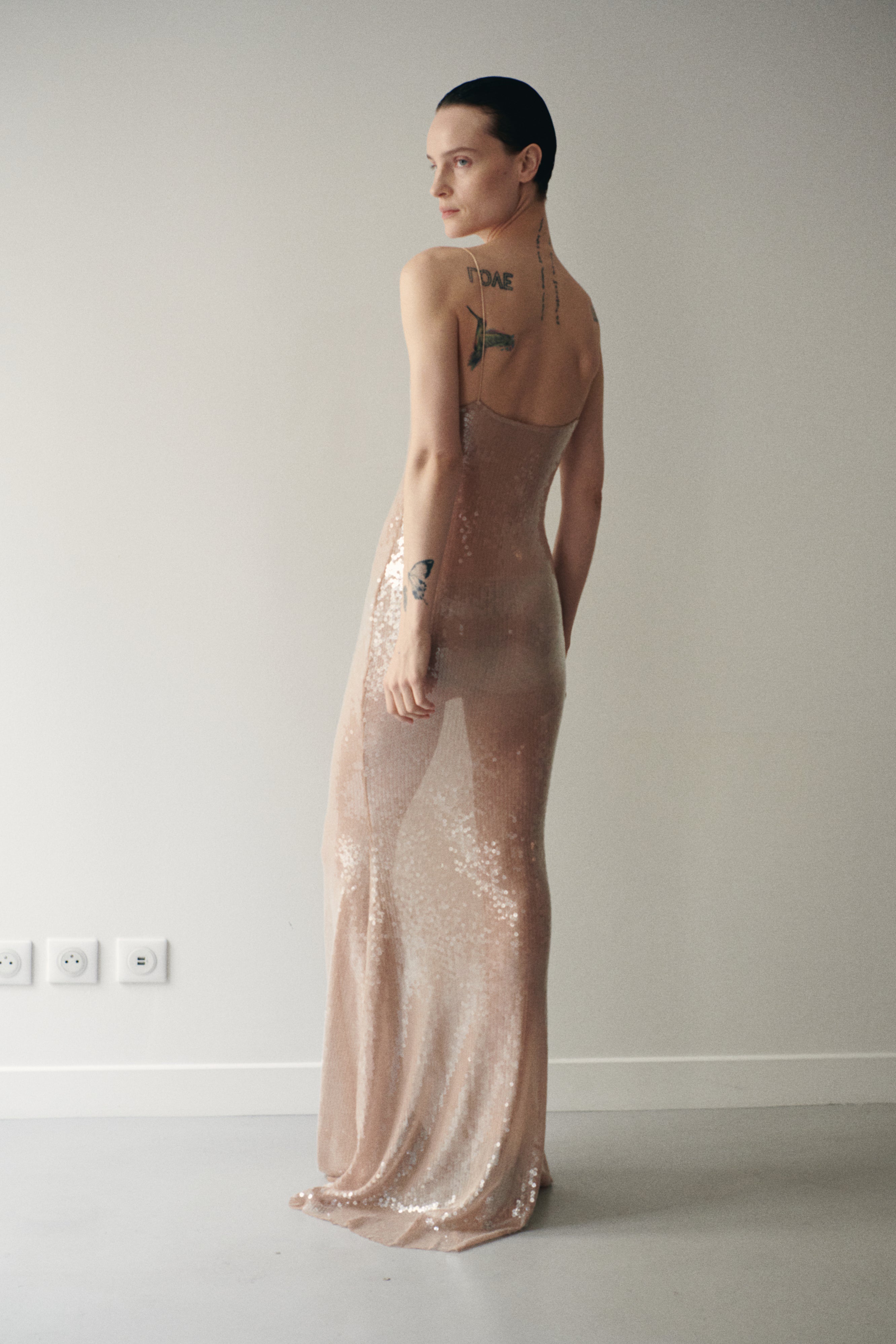 Nude Sequin Long Transparent Dress