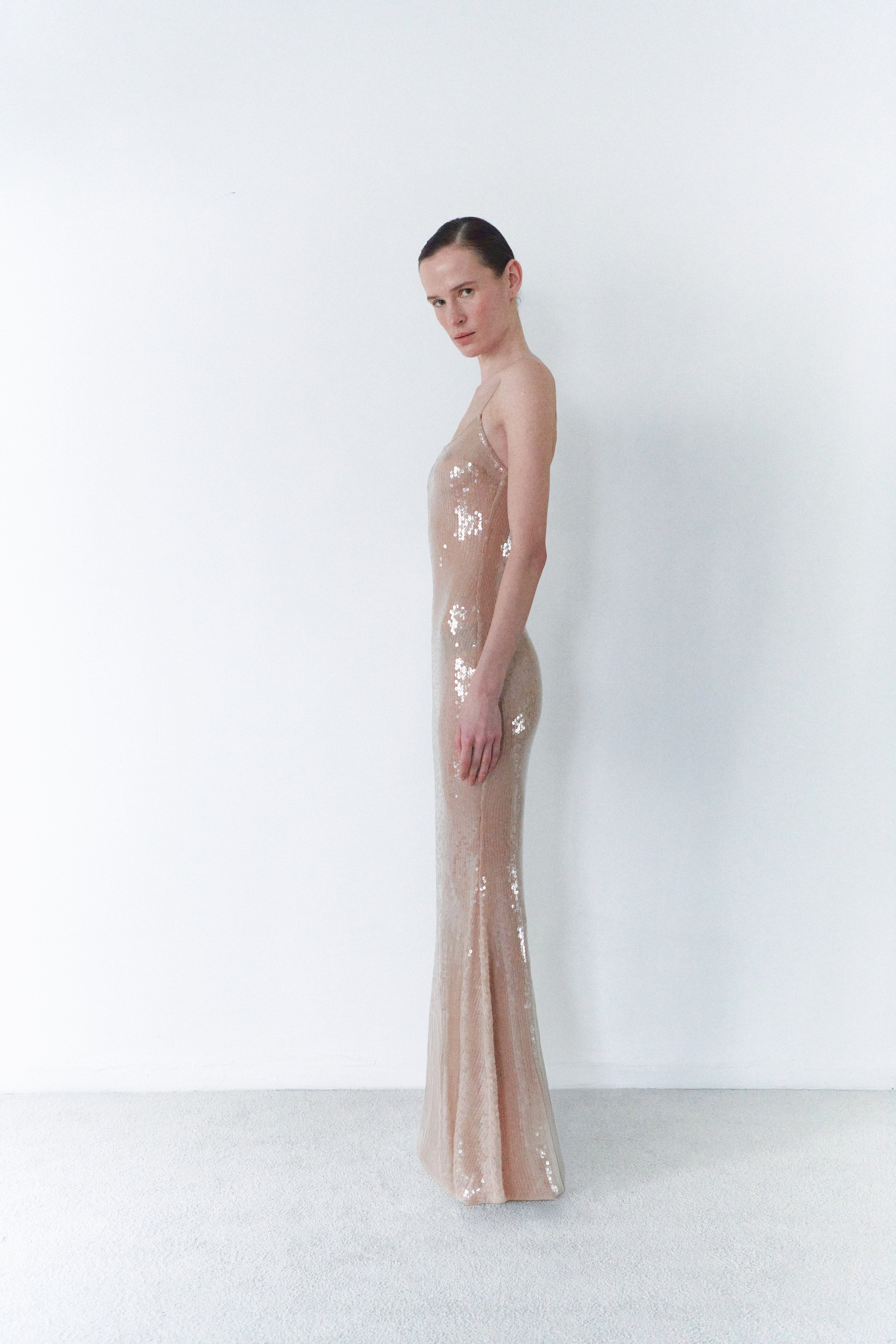 Nude Sequin Long Transparent Dress