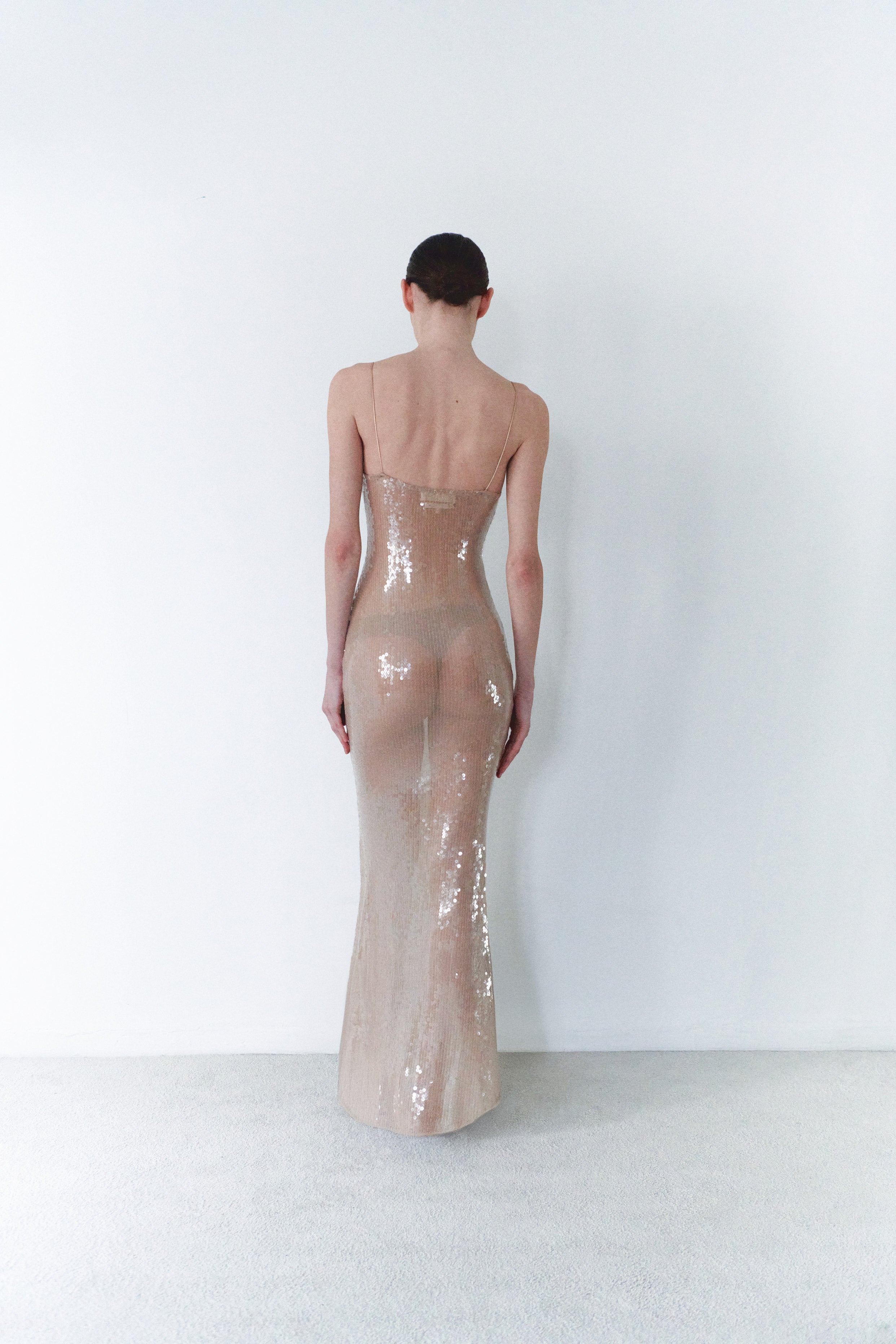 Nude Sequin Long Transparent Dress