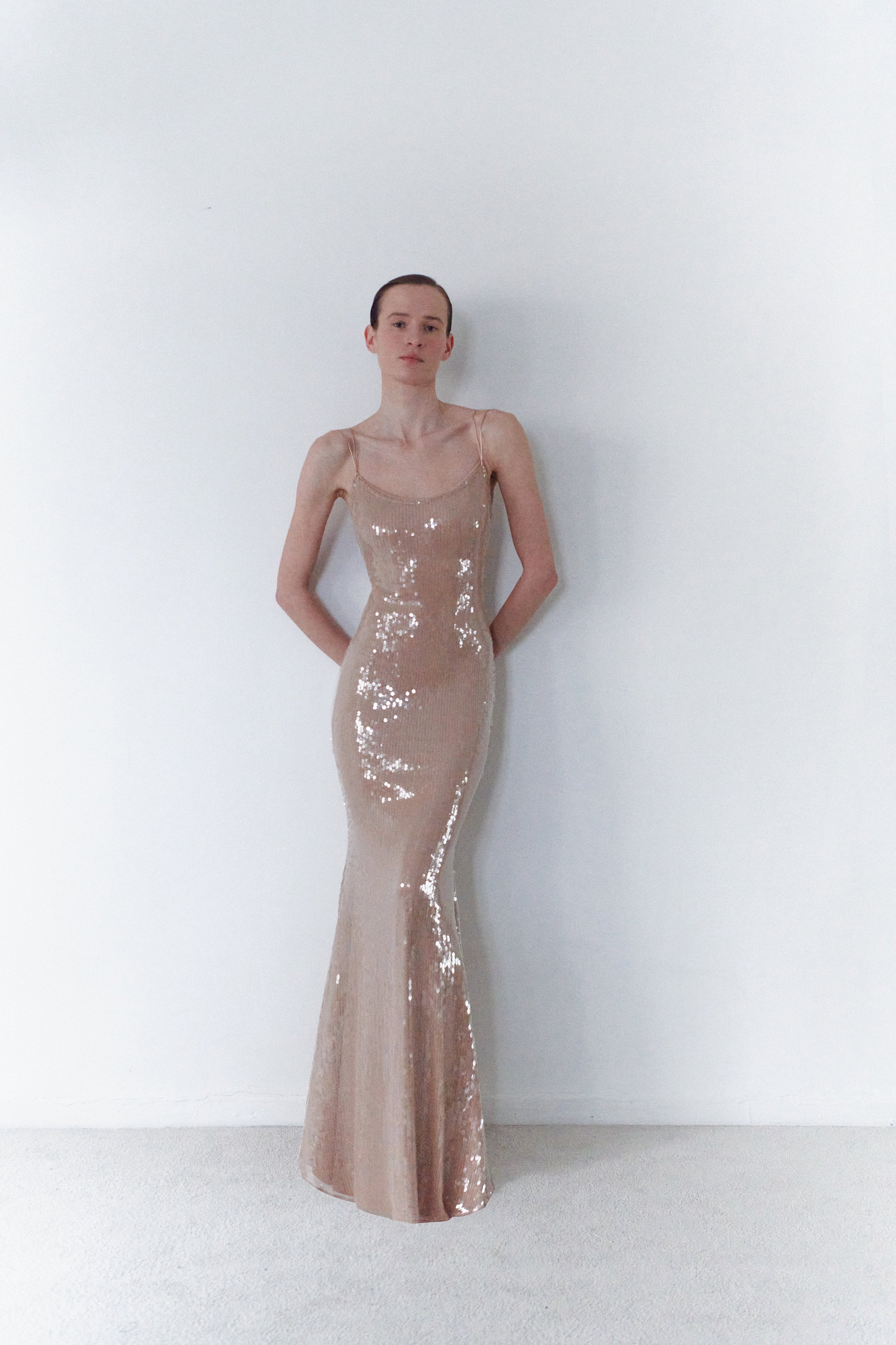 Nude Sequin Long Transparent Dress
