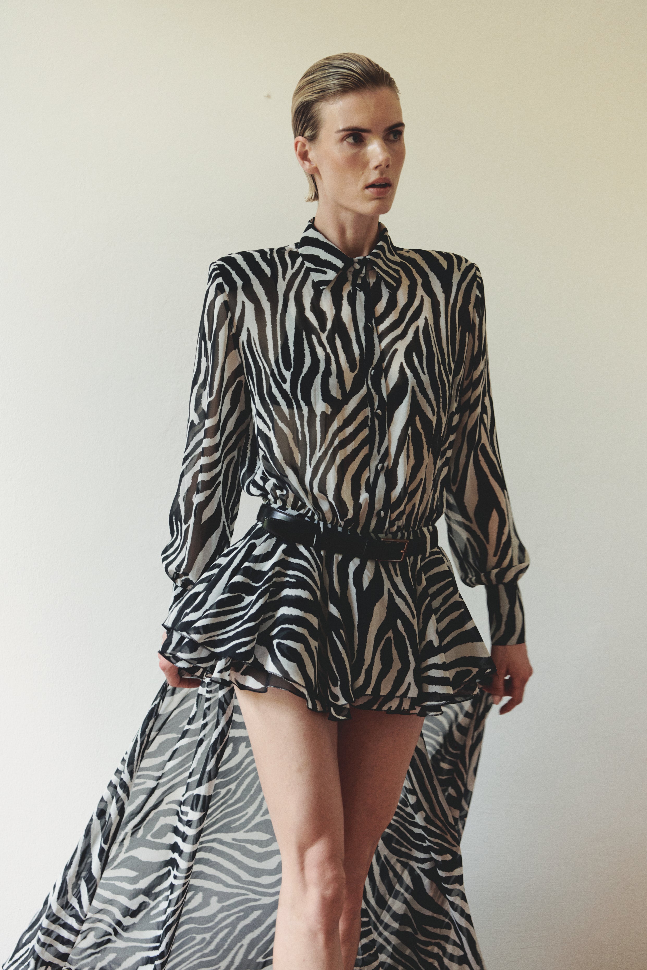 Zebra Print Chiffon Shirt Train Dress